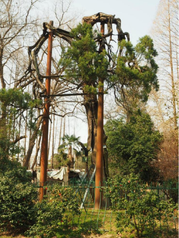 image008.png