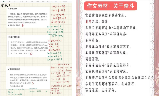 组合 5.png