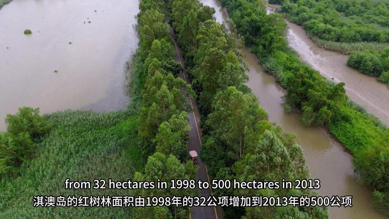 1733383153251041085.png 图片4.png