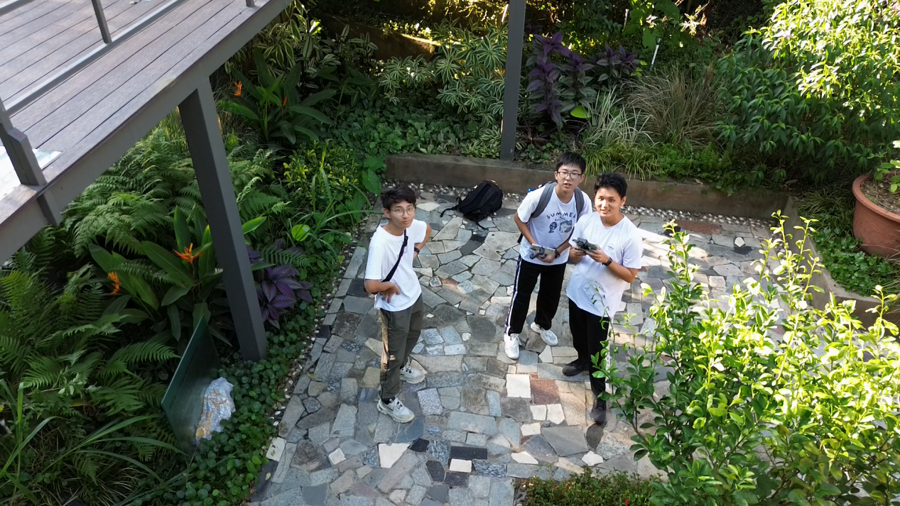 1733383182779046299.png 图片7.png