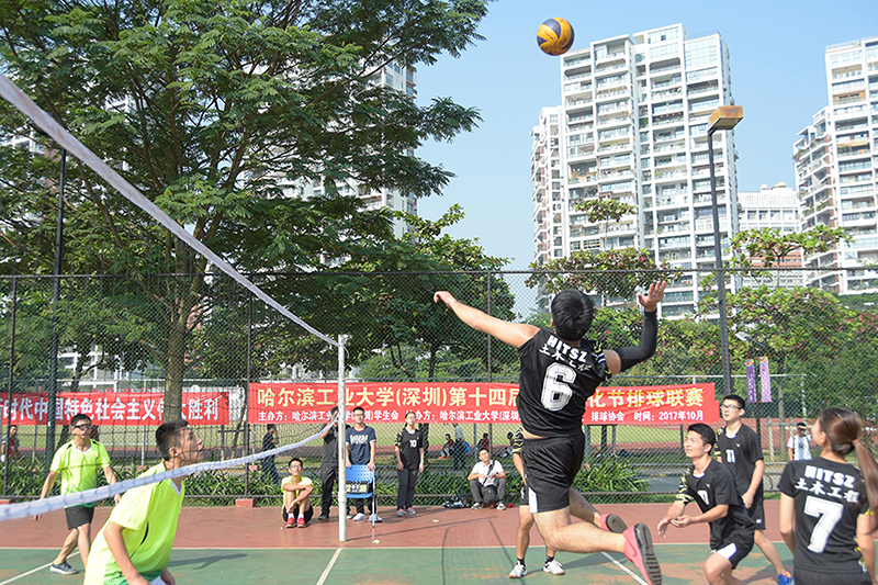 1510535219478015090.jpg 3扣球 (2).jpg
